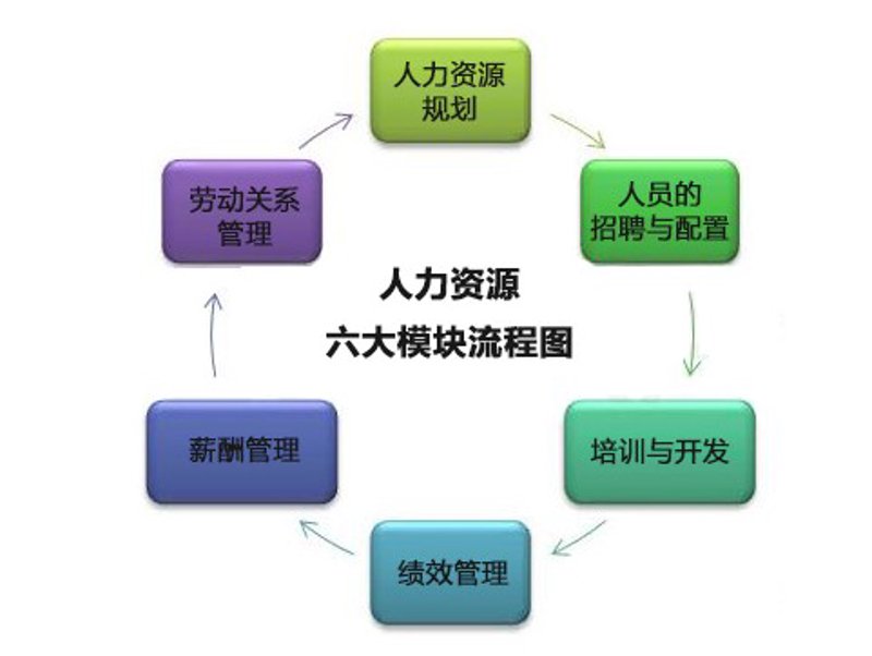 市场分析室：如何成为企业决策的“指南针”